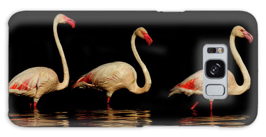Kenya Galaxy Case featuring the photograph Greater Flamingos At Lake Nakuru by Manoj Shah