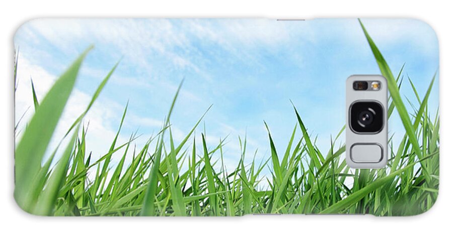 Grass Galaxy Case featuring the photograph Green Grass Against Blue Sky by Steven Puetzer