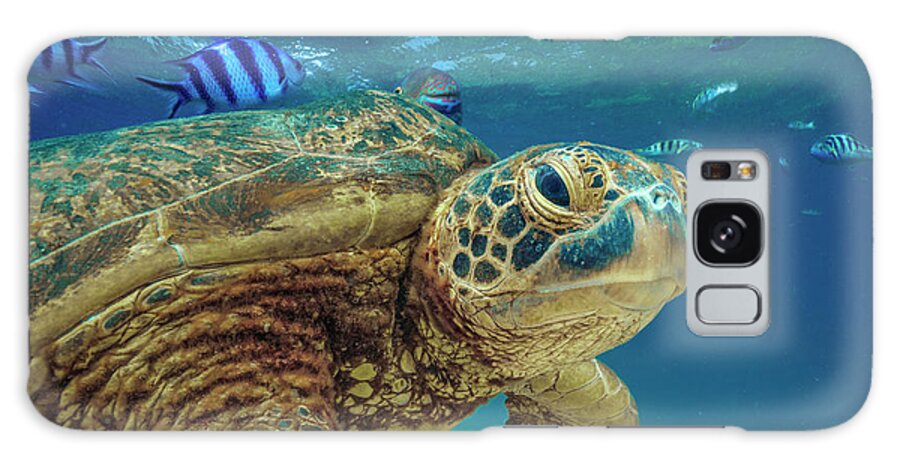 00586423 Galaxy Case featuring the photograph Green Sea Turtle, Balicasag Island, Philippines by Tim Fitzharris