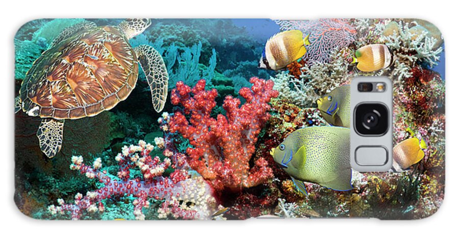 Tranquility Galaxy Case featuring the photograph Green Sea Turtle Over Coral Reef by Georgette Douwma