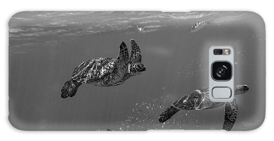 Disk1215 Galaxy Case featuring the photograph Green Sea Turtles Philippines by Tim Fitzharris