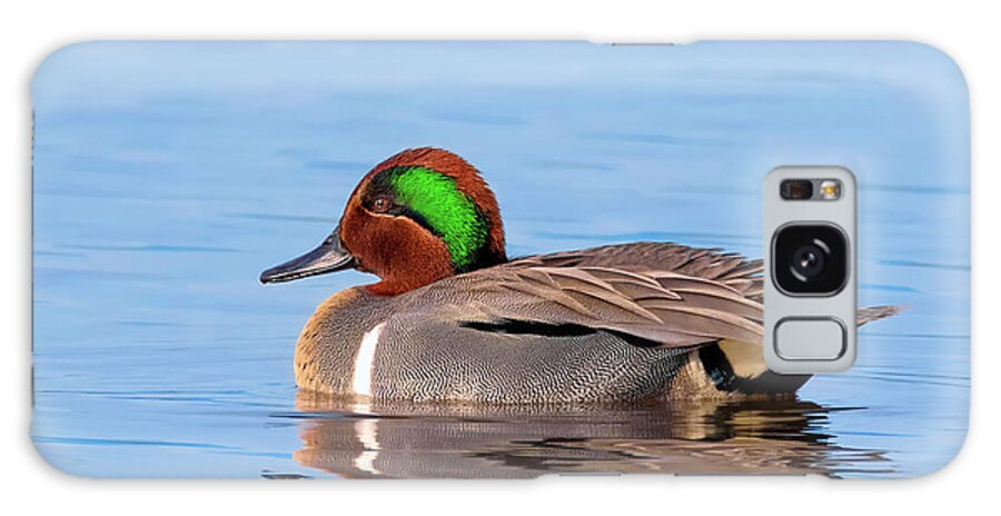 Green-winged Teal Galaxy Case featuring the photograph Green-winged Teal on the Pond by Kathleen Bishop