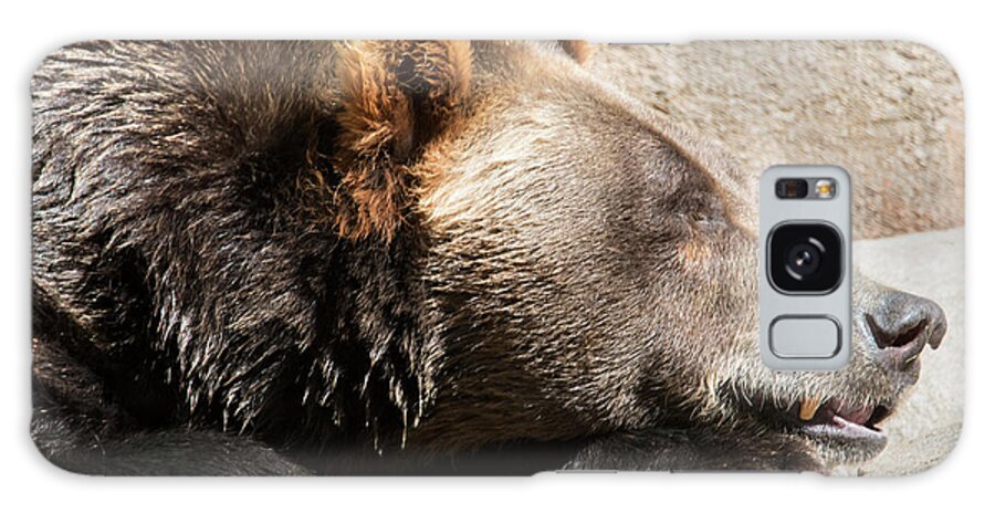 Grizzly Bear Ncz 17 2 Galaxy Case featuring the photograph Grizzly Bear Ncz 17 2 by Robert Michaud