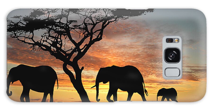 Forest Galaxy Case featuring the digital art Group Of Elephant In Africa by Tebnad