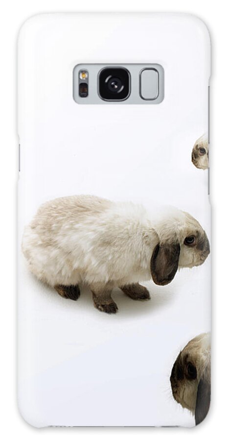 Pets Galaxy Case featuring the photograph Group Of Lop-eared Rabbits Against by Michael Blann