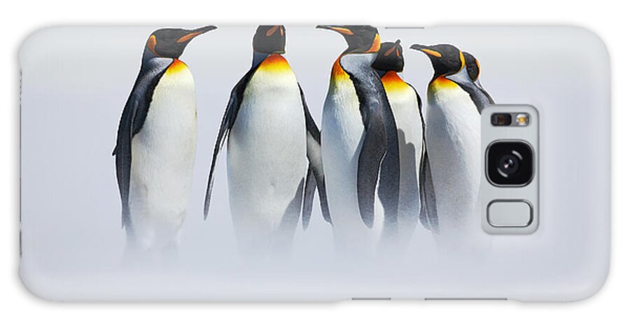 Couple Galaxy Case featuring the photograph Group Of Six King Penguins Aptenodytes by Ondrej Prosicky