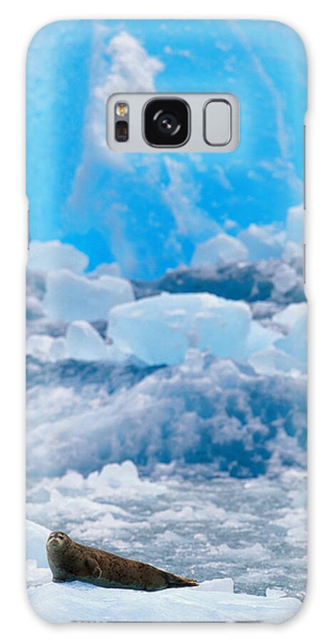 Iceberg Galaxy Case featuring the photograph Harbour Seal Phoca Vitulina On Iceberg by Art Wolfe