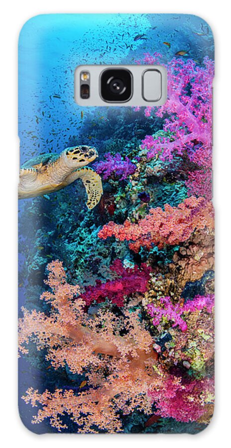 Animal Galaxy Case featuring the photograph Hawksbill Turtle Swims Along A Coral Reef With Pink Soft by Alex Mustard / Naturepl.com
