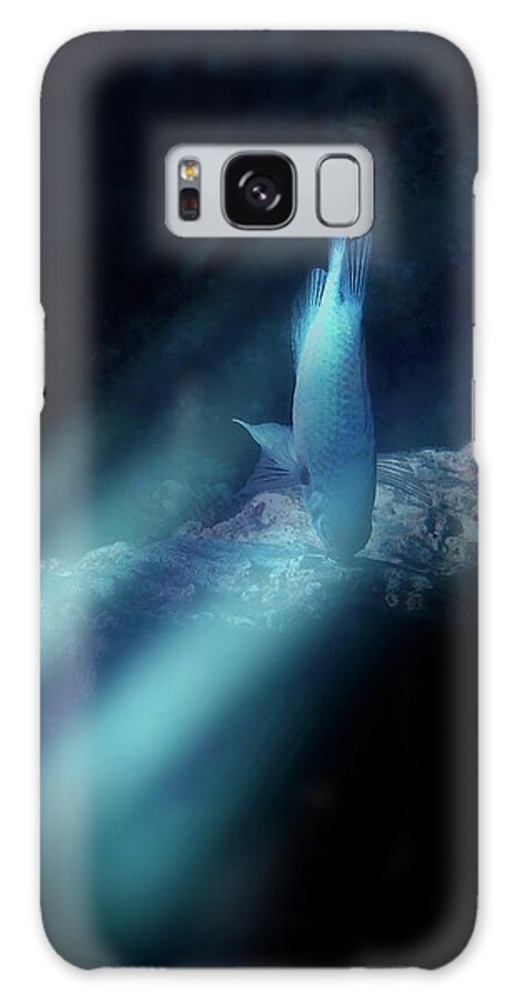 Sea Galaxy Case featuring the photograph Heavenly Light Underwater In The Red Sea by Johanna Hurmerinta