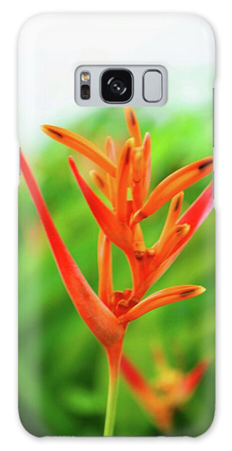 Heliconia Galaxy Case featuring the photograph Heliconia Beauty by Christine Chin-Fook