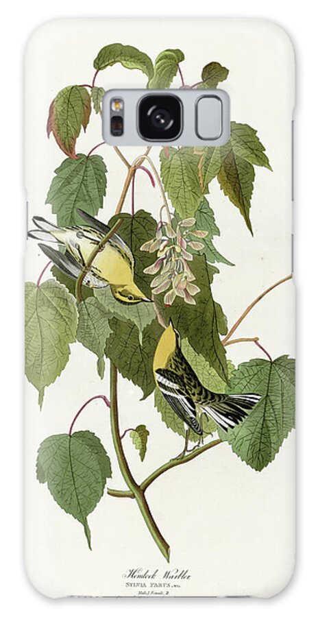 Audubon Birds Galaxy Case featuring the Hemlock Warbler by Vintage Apple Collection