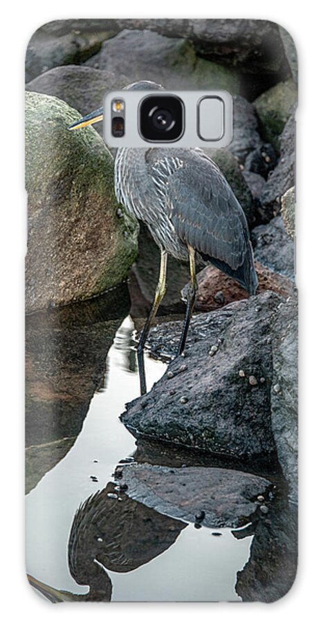 Great Blue Heron Galaxy Case featuring the photograph Heron Reflections, Vertical by Marcy Wielfaert