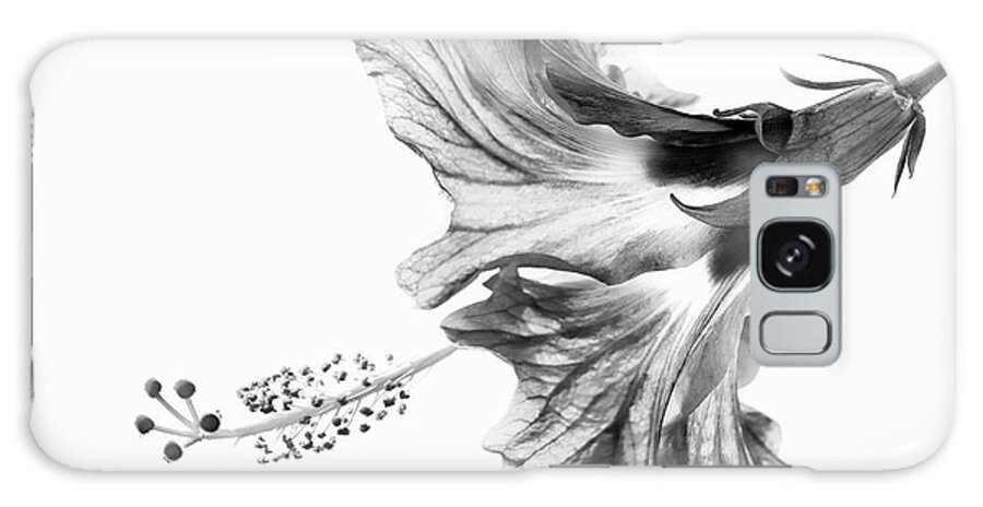 Hibiscus Galaxy Case featuring the photograph Hibiscus in Black and White by Christopher Johnson