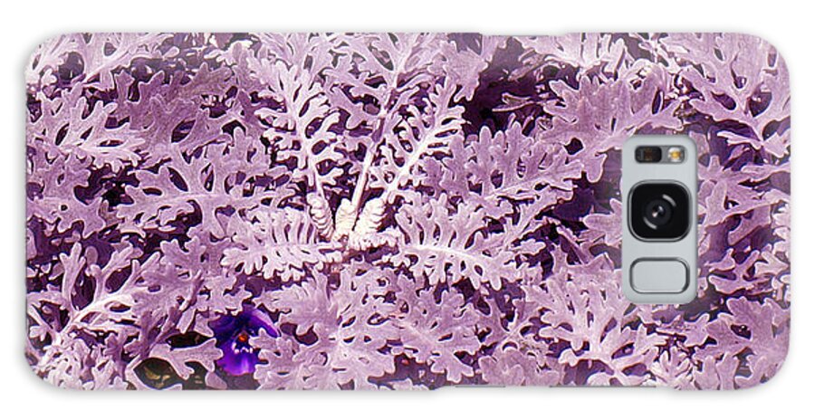 Mauve Galaxy S8 Case featuring the photograph Hide-n-Seek by Steven Robiner