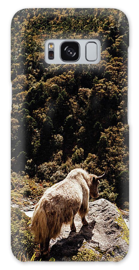Yak Galaxy Case featuring the photograph High Angle View Of Yak Standing On Mountain At Sagarmatha National Park During Sunny Day by Cavan Images