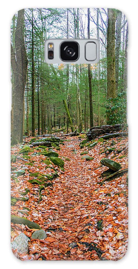 Photo For Sale Galaxy Case featuring the photograph Hiking Trail in Autumn by Robert Wilder Jr