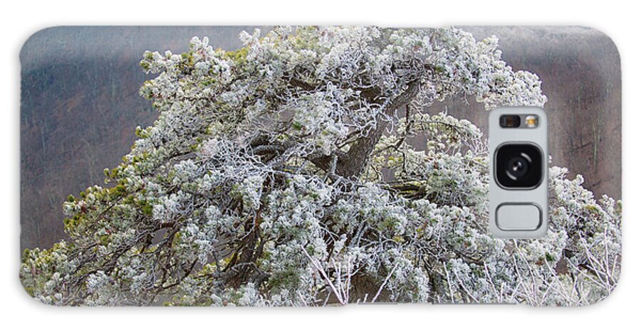 Blue Ridge Galaxy Case featuring the photograph Hoarfrost on Trees by Mark Duehmig