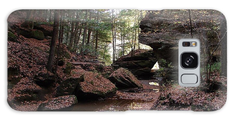 Hocking Hills Autumn Fall Creek Stream Bed Colors Colours Galaxy Case featuring the photograph Hocking Hills in Autumn 1 by Lee Antle