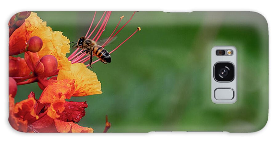 Pride Of Barbados Galaxy Case featuring the photograph Honey Bee Extraction by G Lamar Yancy
