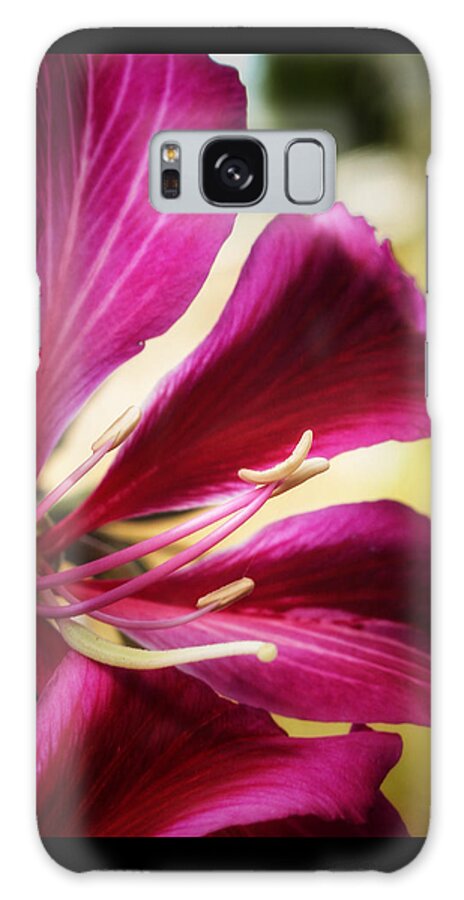 Florida Galaxy Case featuring the photograph Hong Kong Orchid by Brenda Wilcox aka Wildeyed n Wicked