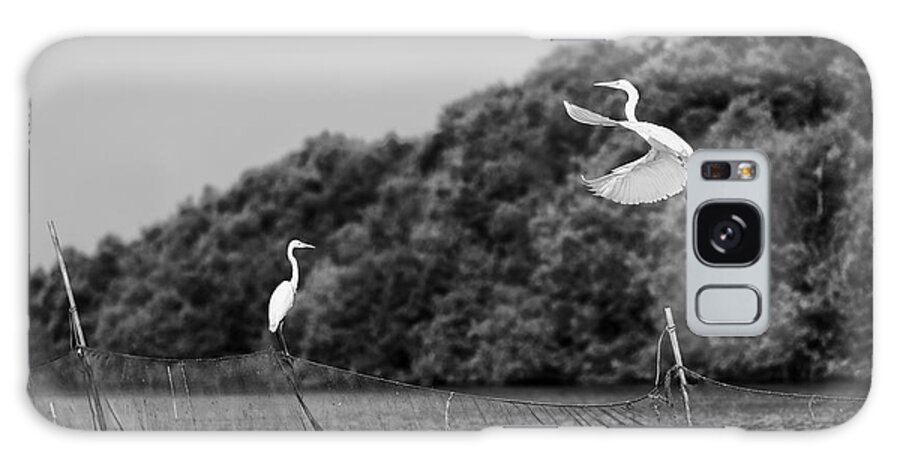 Love Galaxy Case featuring the photograph Horizontal Vivid Black And White Stork by Spacedrone808