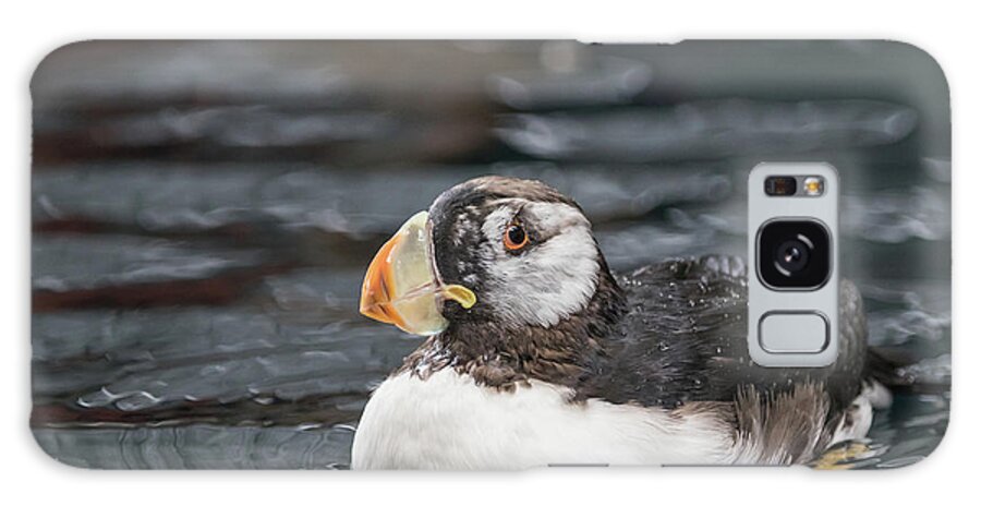 Horned Puffin Galaxy Case featuring the photograph Horned Puffin by Eva Lechner