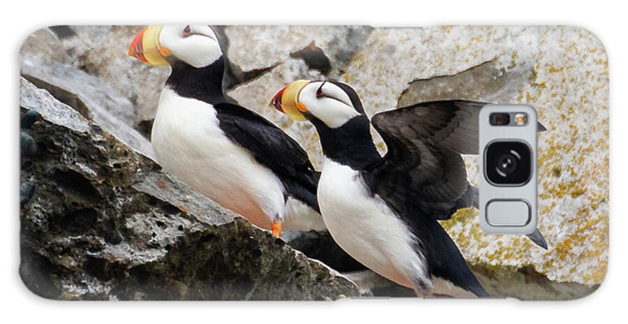 Puffin Galaxy Case featuring the photograph Horned Puffin Pair by Mark Hunter