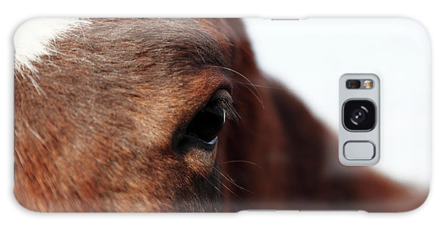 Horse Galaxy Case featuring the photograph Horse Portrait by R-j-seymour