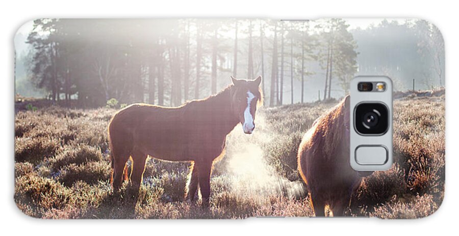 Horse Galaxy Case featuring the photograph Horses At Sunrise, New Forest, Hampshire by Simon J Byrne