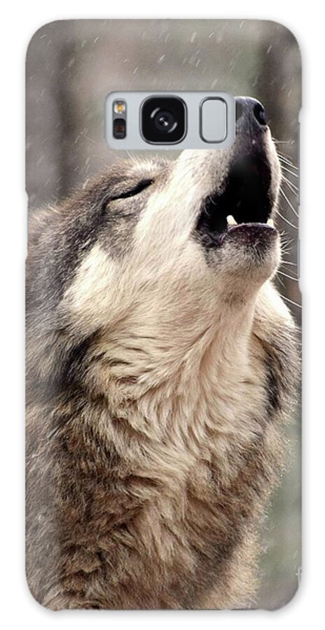 Wolf Galaxy Case featuring the photograph Howling At The Snow by Robert Buderman