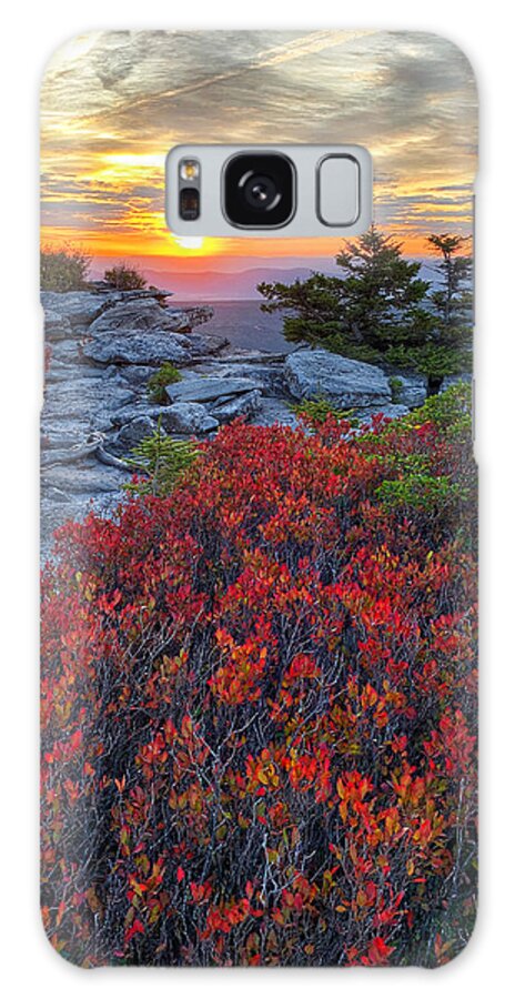 Dolly Sods Galaxy Case featuring the photograph Huckleberry Red by Jaki Miller