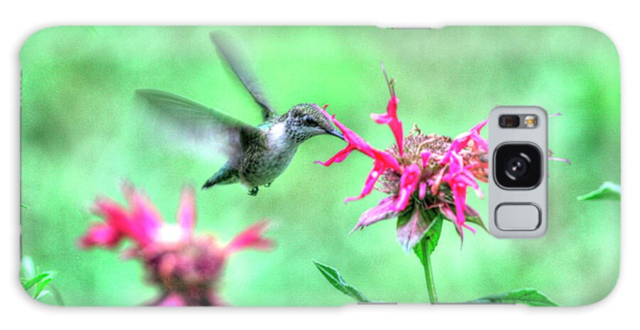 Hummingbird Galaxy Case featuring the photograph Hummingbird 2 by Robert Goldwitz