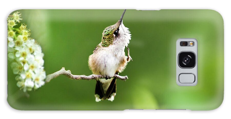 Hummingbird Galaxy Case featuring the photograph Hummingbird Flexibility by Christina Rollo