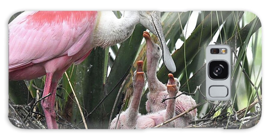 Roseate Spoonbill Galaxy Case featuring the photograph Hungry Roseate Spoonbills by Jim Bennight