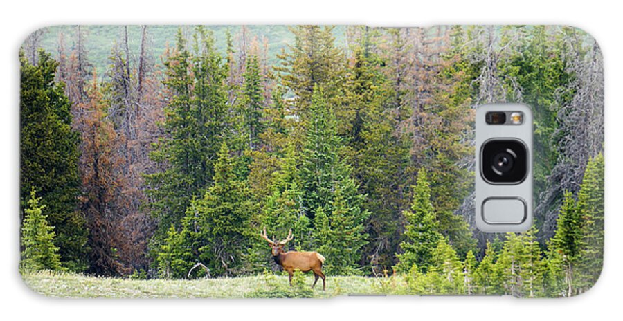 Rocky Galaxy Case featuring the photograph I am Elk 2 by Richard A Brown