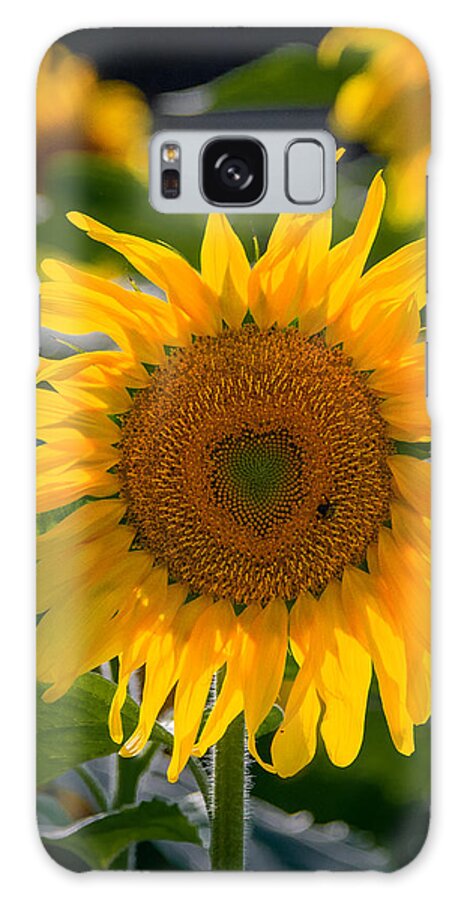 Heart Galaxy Case featuring the photograph I Heart Sunflowers by Linda Bonaccorsi