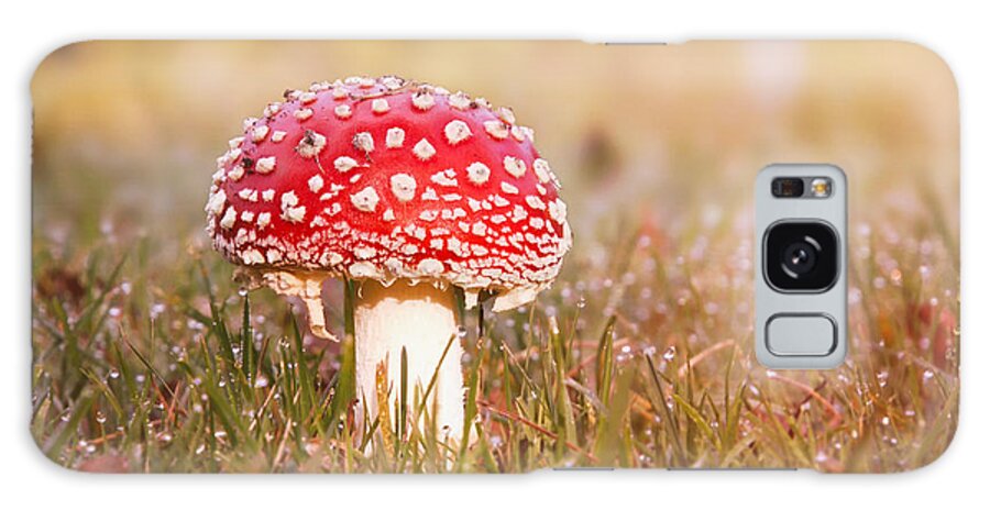 Toadstool Galaxy Case featuring the photograph I know the place by Jaroslav Buna
