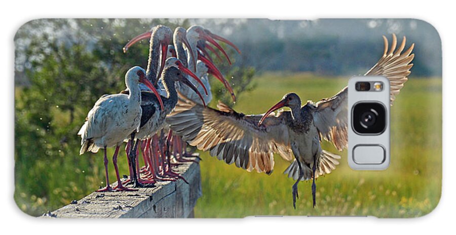 Birds Galaxy S8 Case featuring the photograph Ibis Joining Featured Friends on Jekyll Island by Bruce Gourley