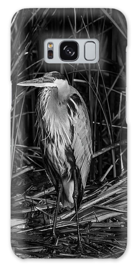 Birds Galaxy Case featuring the photograph In A Daze by Ray Silva