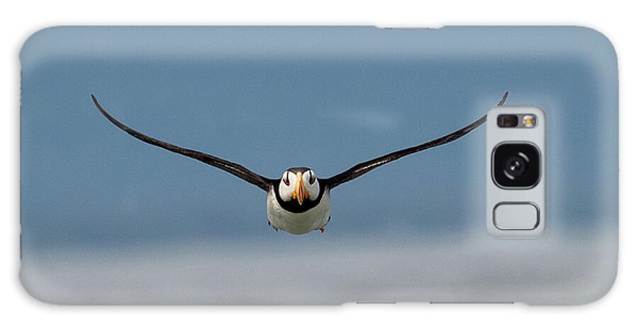 Puffin Galaxy Case featuring the photograph Incoming Puffin by Mark Hunter