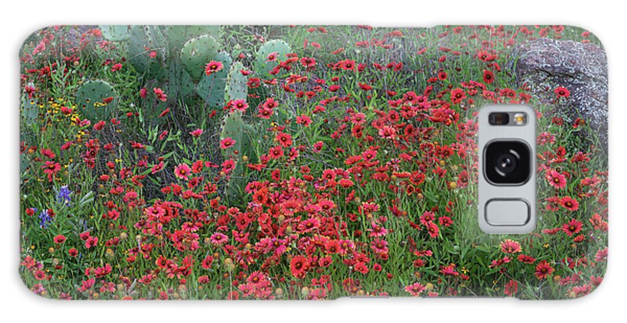00567599 Galaxy Case featuring the photograph Indian Blanket Flowers And Opuntia, Inks Lake State Park, Texas by Tim Fitzharris