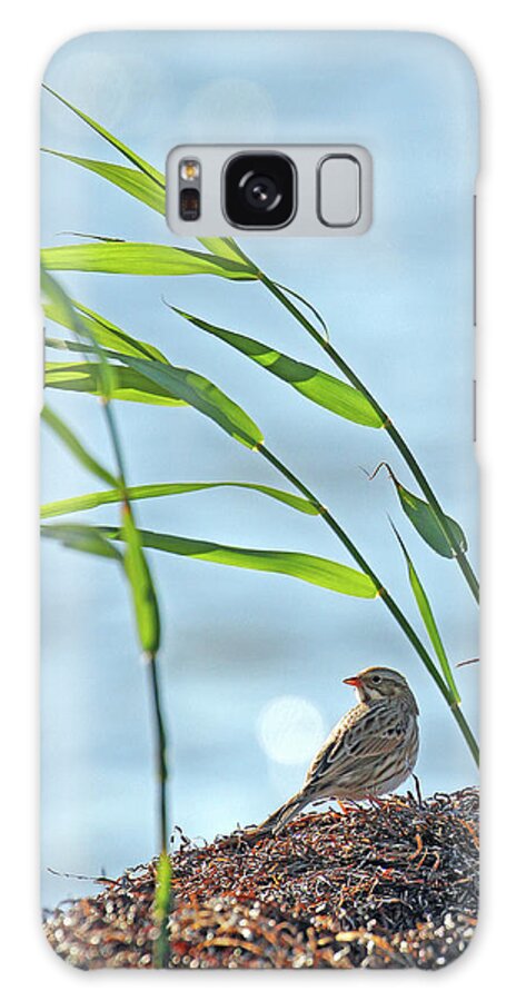 New Jersey Galaxy Case featuring the photograph Ipswich Sparrow by Jennifer Robin