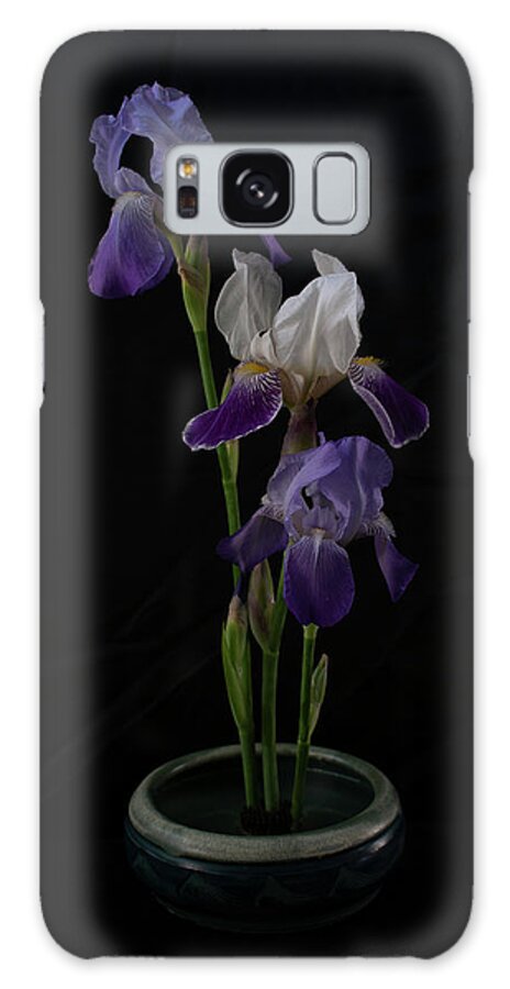 Flowers Galaxy Case featuring the photograph Iris Trilogy by Vicky Edgerly