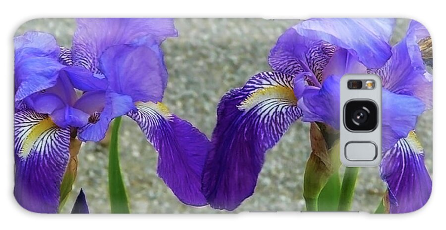 Flower Galaxy Case featuring the photograph Irises #2p by Jasna Dragun
