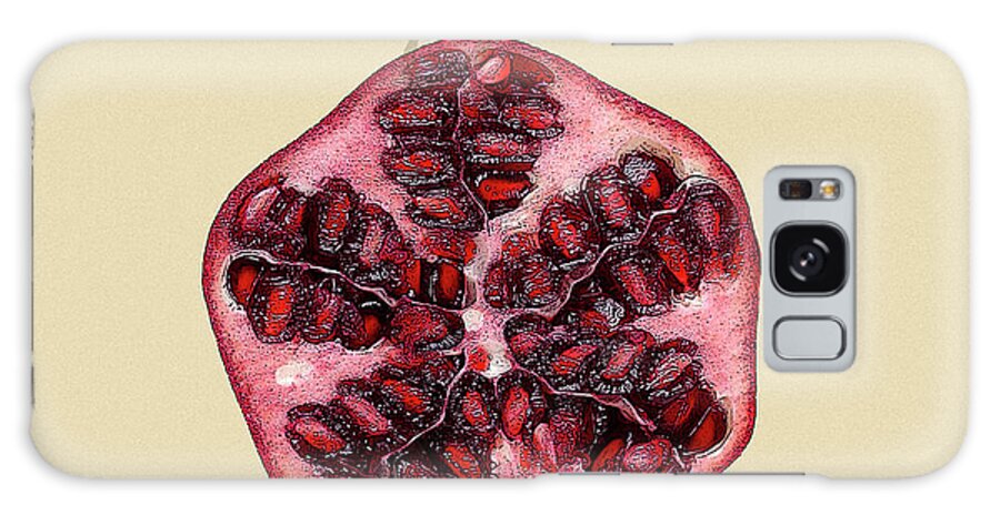 Framed Galaxy Case featuring the painting Italian Fruit I by Vision Studio