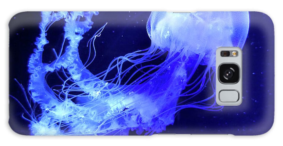 Jellyfish Galaxy Case featuring the photograph Jelly Fish 5 by Raymond Earley