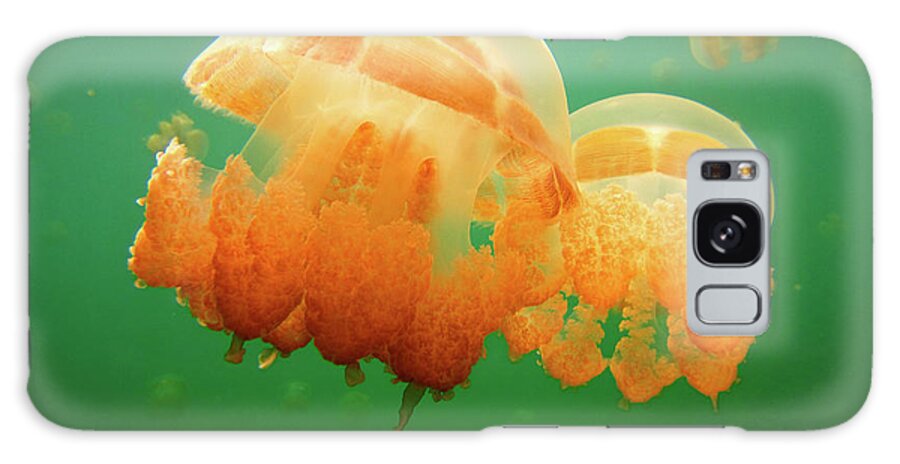 Jellyfish Galaxy Case featuring the photograph Jellyfish Love by Becqi Sherman