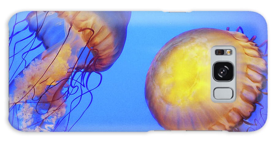 Jellyfish Galaxy Case featuring the photograph Jellyfish by Stephanie Analah