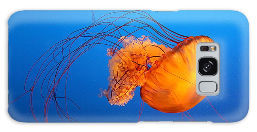 Orange Color Galaxy Case featuring the photograph Jellyfish by Viviana Singh