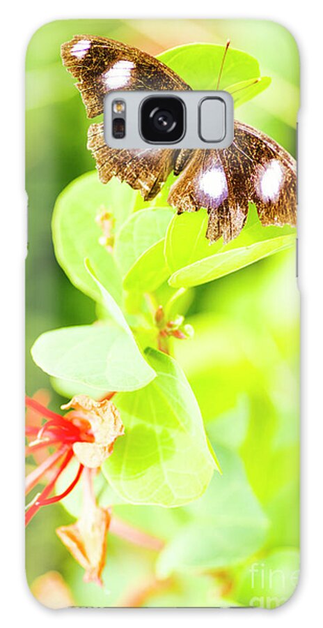 Animal Galaxy Case featuring the photograph Jungle bug by Jorgo Photography